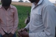 received_1582748831921917